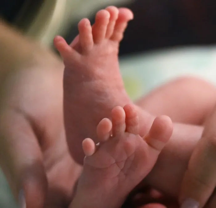 Neonato trovato in un sacchetto salvato da una donna a passeggio con il cane