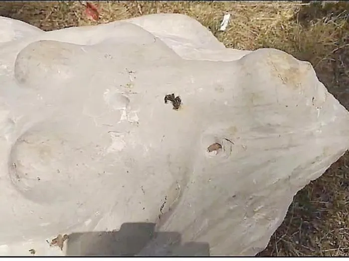 &laquo;Statue mutilate a Palazzo Jung&raquo;: chiesti danni alla Citt&agrave; metropolitana per 95mila euro, citata anche la Fondazione Falcone
