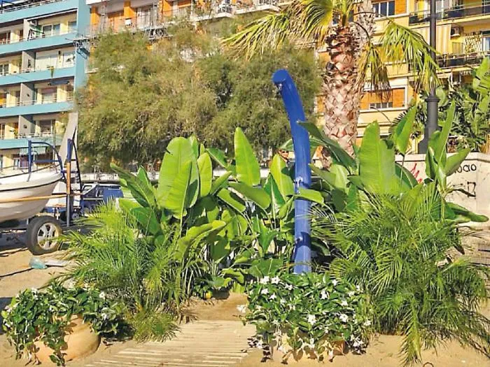Verde e piante ornamentali per le spiagge Bandiera Blu