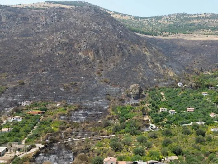 "Un incendio cos&igrave; non si vedeva da vent'anni". Cenere e rabbia, cosa resta di Montagna Longa