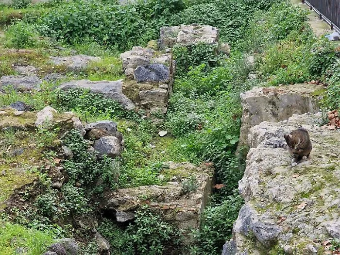 Accordo tra Comune di Catania e la Soprintendenza per i reperti archeologici alla Civita 
