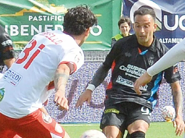 Insigne (Catania)