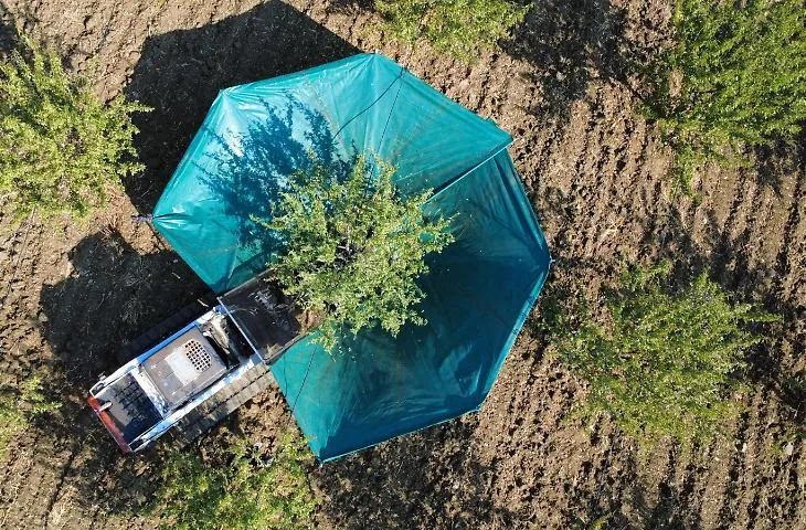 Dai prodotti "bio" una rete per cambiare il futuro della Sicilia